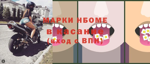 хмурый Арсеньев