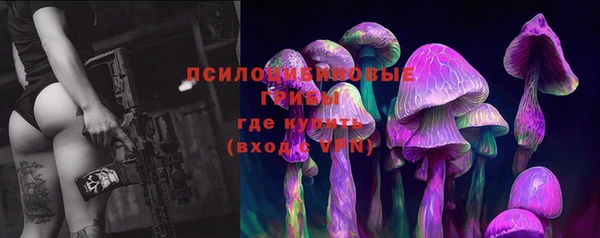 не бодяженный Аркадак