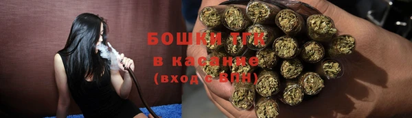 хмурый Арсеньев