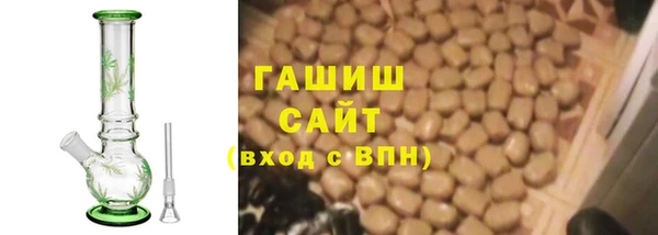 хмурый Арсеньев