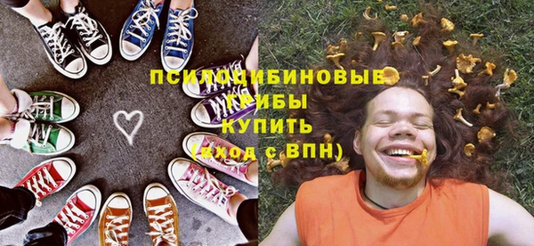 хмурый Арсеньев