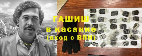 хмурый Арсеньев