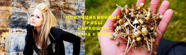 не бодяженный Аркадак
