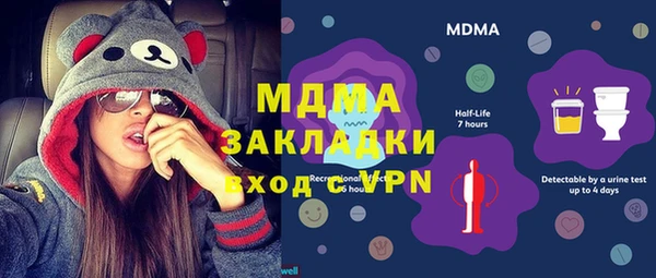 хмурый Арсеньев