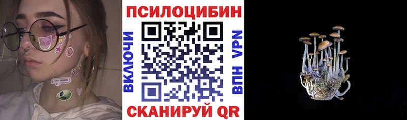 Псилоцибиновые грибы мицелий  Звенигово 